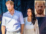 PLATELL'S PEOPLE: The Sussexes must have felt on top of the world with Spare the fastest-selling non-fiction book ever and a '£88million Netflix deal' in the bag... So why was it this year that their sanctimonious bubble burst?