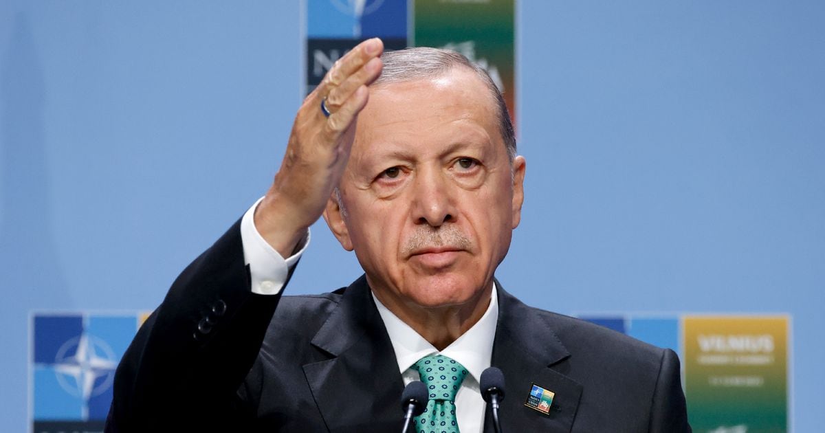 Le président turc Recep Tayyip Erdogan lors du sommet de l'Otan à Vilnius, le 12 juillet 2023 en Lituanie