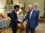 The King's boost to the nation: Smiling Charles holds first face-to-face meeting with Prime Minister Rishi Sunak at Buckingham Palace since cancer diagnosis as he increases his workload after treatment