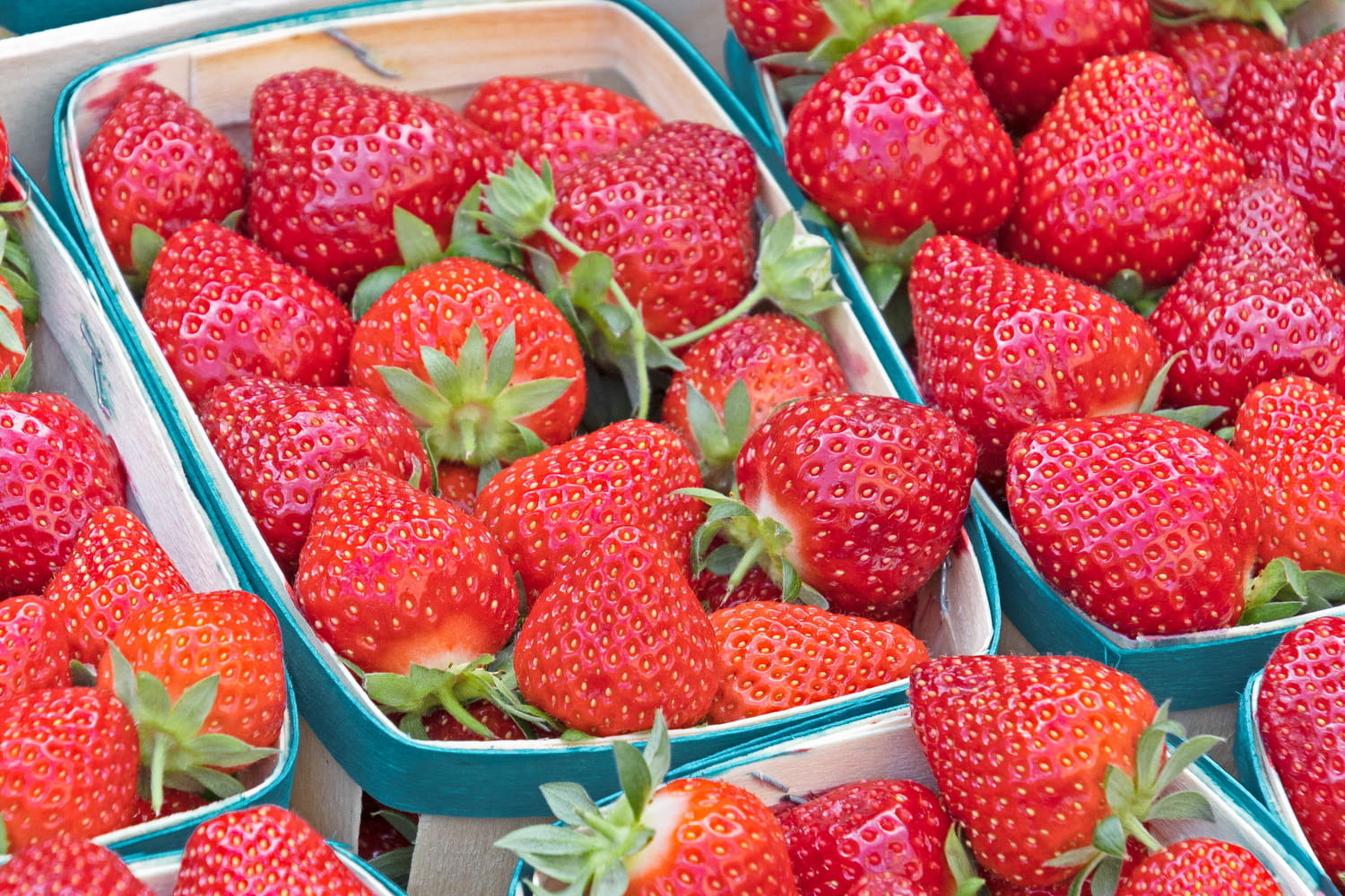 Les fraises déjà de retour en rayons, faut-il les acheter dès maintenant ?