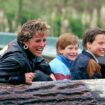 Princess Diana's 'greatest fear' may be realised with Harry and William, claims expert