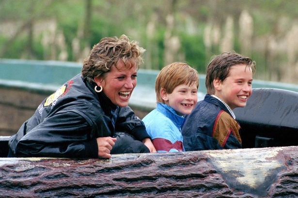 Princess Diana's 'greatest fear' may be realised with Harry and William, claims expert