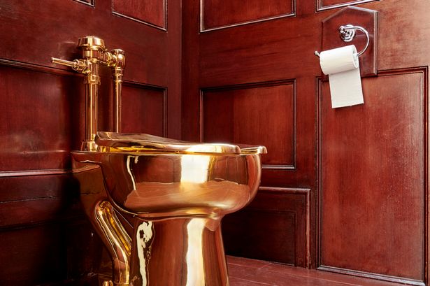 Blenheim Palace golden toilet thief admits stealing £4.8million throne in break-in