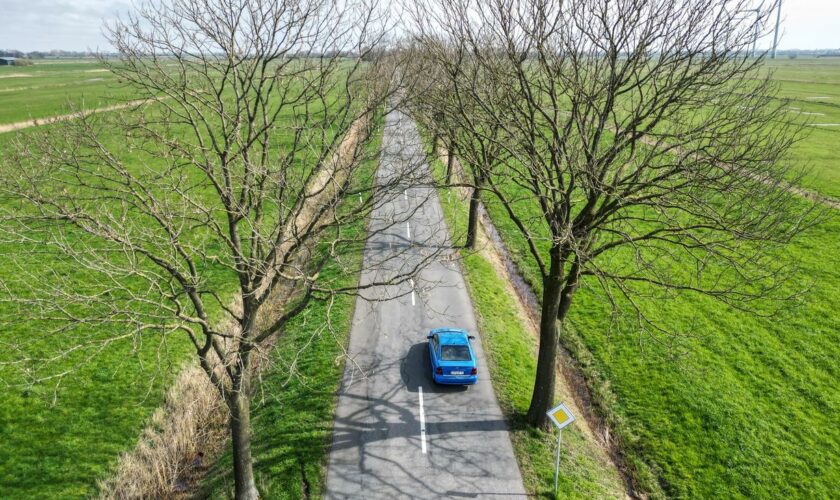 Verkehrsprojekte: Grüne wollen Neubewertung von Verkehrsprojekten durch Volker Wissing