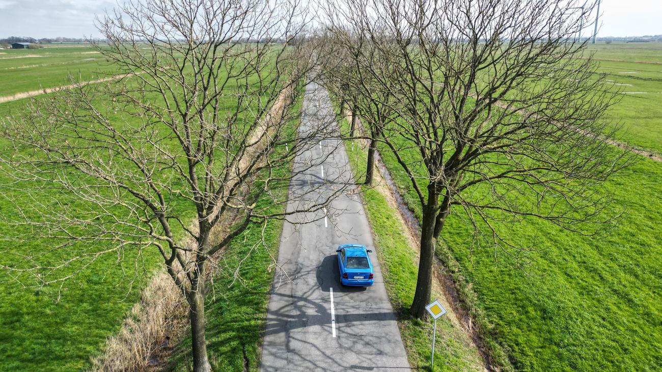 Verkehrsprojekte: Grüne wollen Neubewertung von Verkehrsprojekten durch Volker Wissing