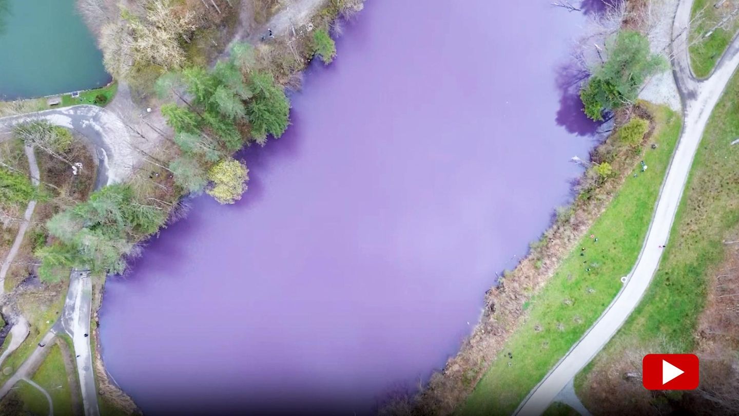 Wasser gefärbt: Faszinierendes Naturphänomen: Lila See in Bayern lockt zahlreiche Schaulustige an