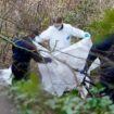 Human torso found at nature reserve belongs to man