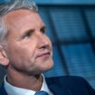 Telekom-Anwälte prüfen rechtliche Schritte gegen Höcke