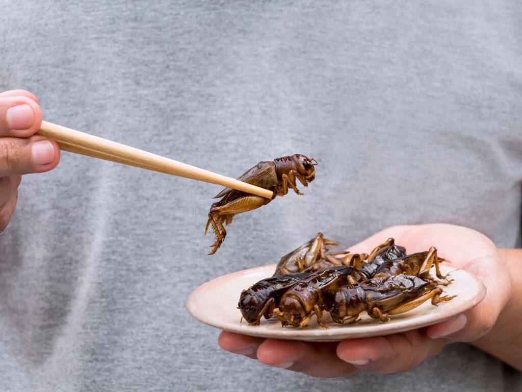 Mezcal-cured worms and cricket chilli oil: Why restaurants are ditching beef for bugs