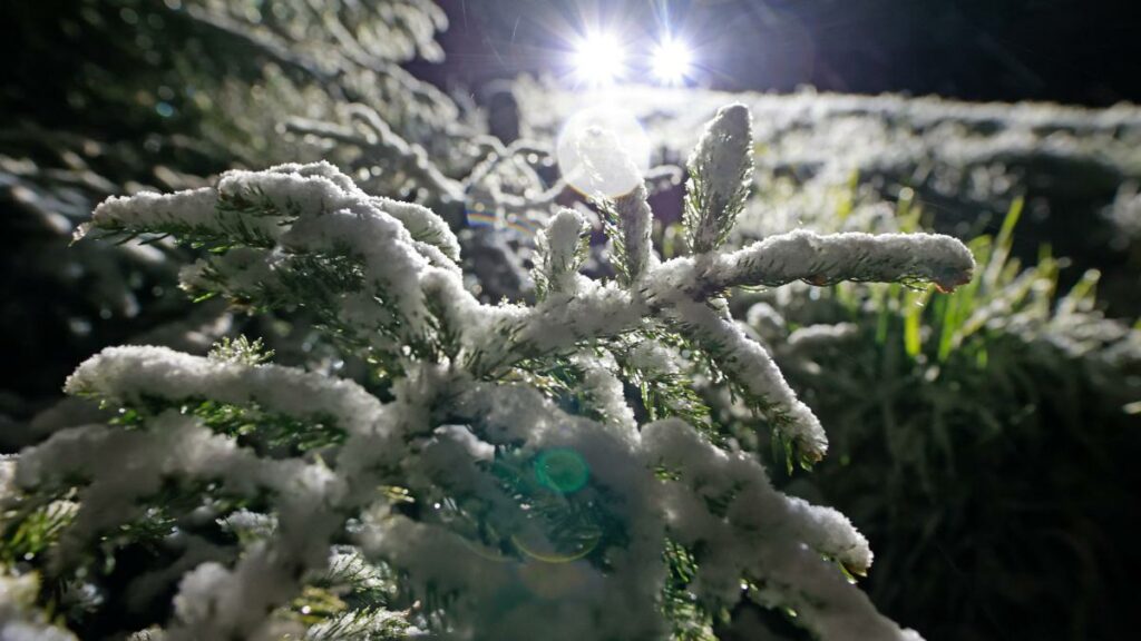 Massenkarambolage bei Glatteis auf A70 – Frost-Prognose für kommende Woche