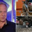 Mike Rowe calls Gen Z the next 'toolbelt generation' amid increasing vocational enrollment