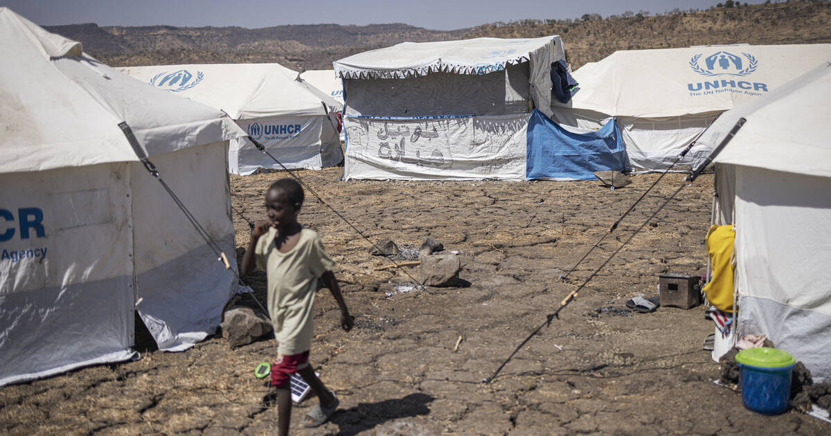 En Ethiopie, de nouveaux affrontements dans le Nord déplacent plus de 50 000 personnes, selon l’ONU