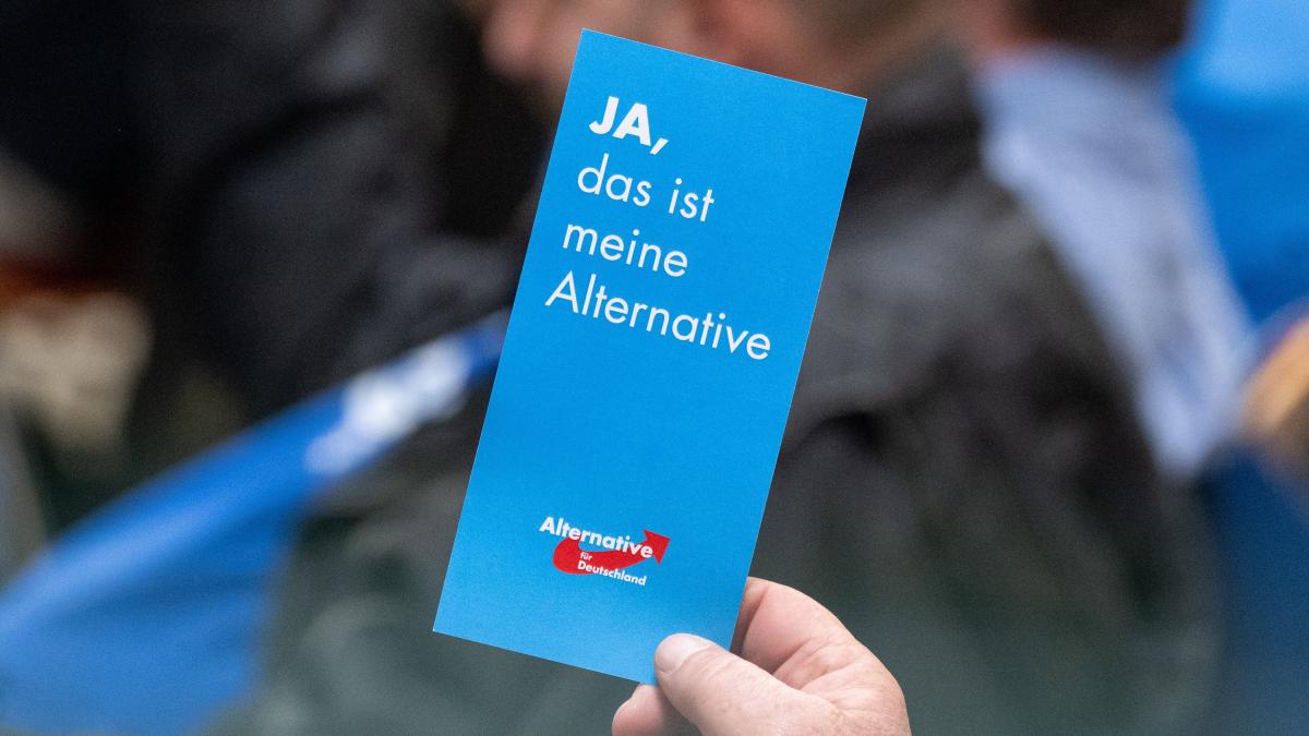 AfD-Beliebtheit bei jungen Menschen – „Eine Tragödie, denn sie werden noch sehr lange wählen“