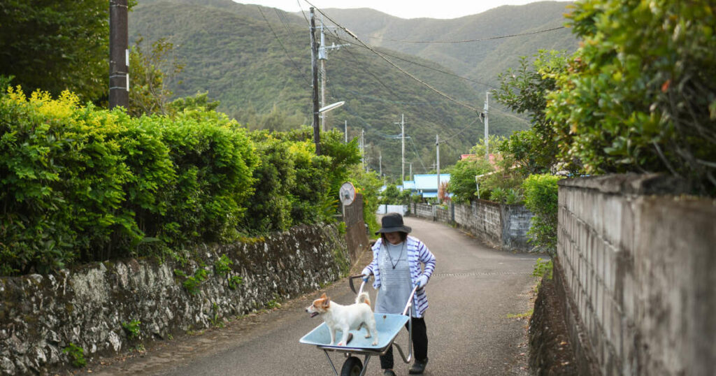 40 % des collectivités japonaises risquent de disparaître d’ici à 2050