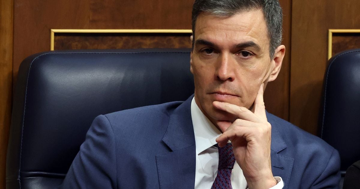 Le Premier ministre espagnol Pedro Sanchez, le 14 mars 2024 à Madrid