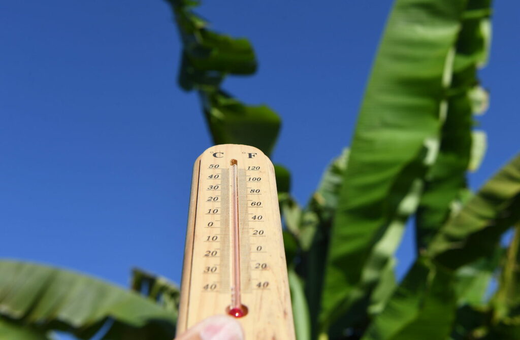 On sait enfin quand la chaleur et le soleil vont revenir en France - ça va être juste pour les ponts de mai