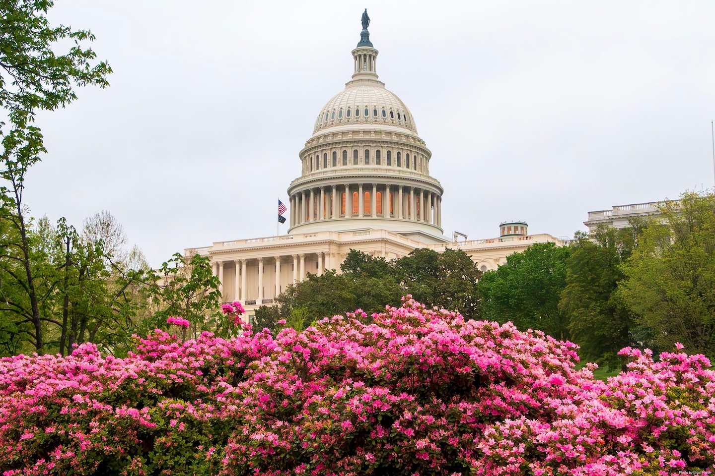 D.C.-area forecast: Cool with showers today, then the heat is on