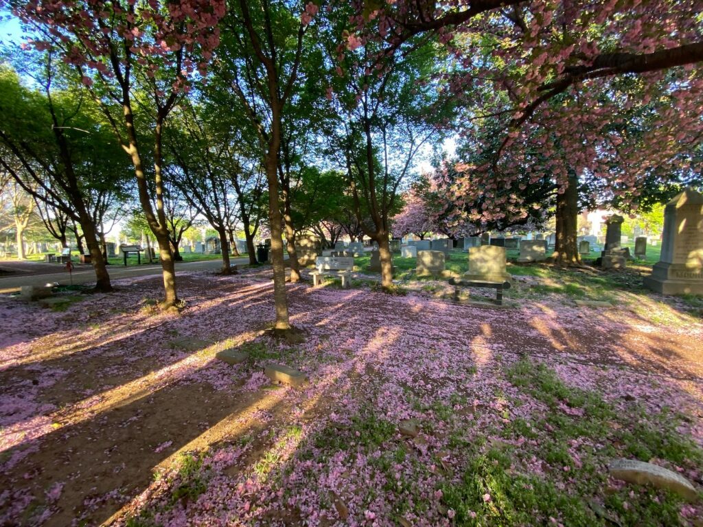 D.C.-area forecast: Warm today, a few showers Friday and cooler into the weekend