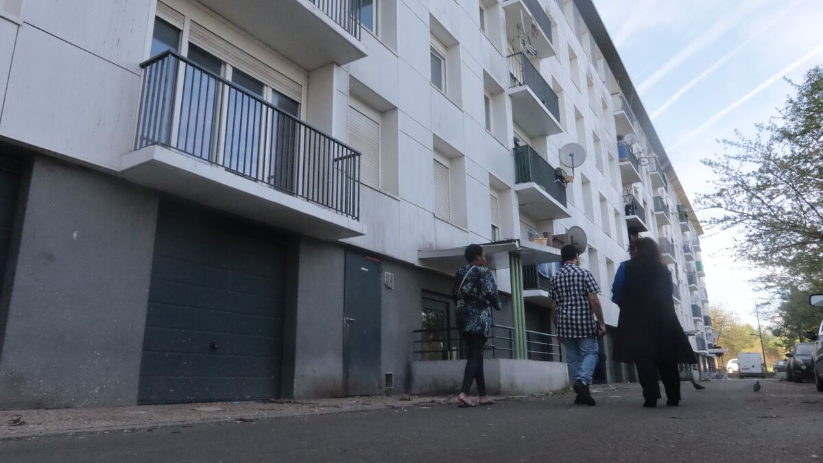 Des centaines d’euros contre un logement insalubre : deux marchands de sommeil présumés arrêtés dans l’Oise