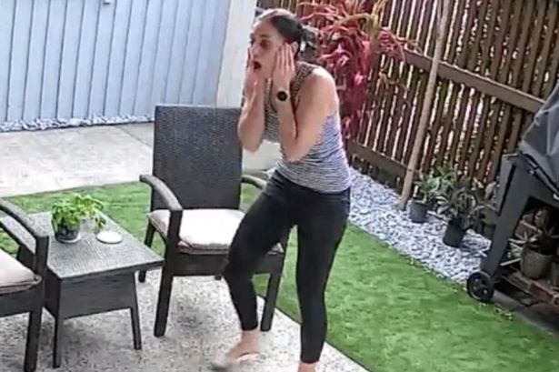 Footage shows terrifying moment woman left screaming as huge snake latches onto her pet cat