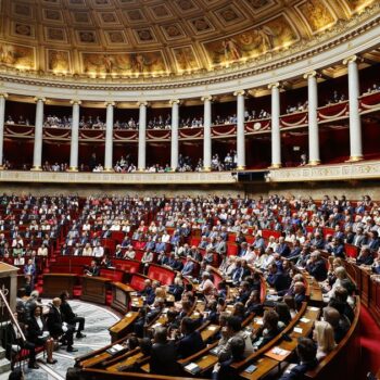 LR met sur la table l’interdiction de la GPA dans la Constitution