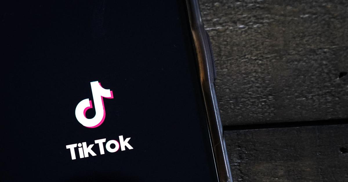 «Laisser TikTok au RN, c’est stupide»: le dilemme des candidats face au réseau chinois