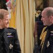 Last time Prince Harry and William were truly happy together identified as 'sombre' moment