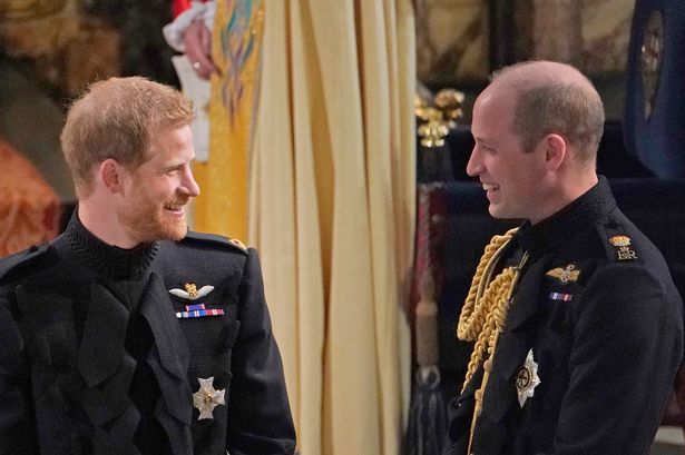 Last time Prince Harry and William were truly happy together identified as 'sombre' moment