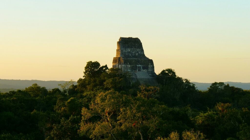 Les restes calcinés de souverains mayas témoignent de l'effondrement brutal d'une dynastie