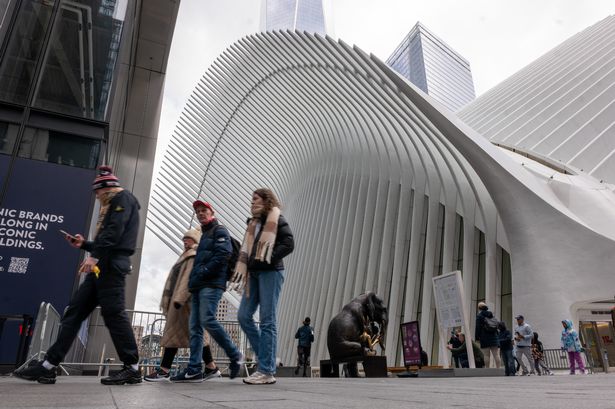 Moment New Jersey earthquake interrupts musician mid-song as 4.8 magnitude tremors shake home