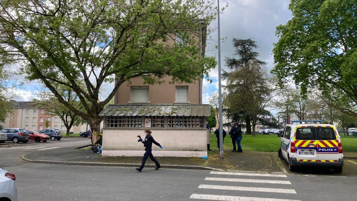 Mort de Matisse à Châteauroux : le suspect de 15 ans mis en examen pour « meurtre » et placé en détention