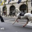 Photo showing smashed glass on a tour bus near the scene of the collision with a horse in London