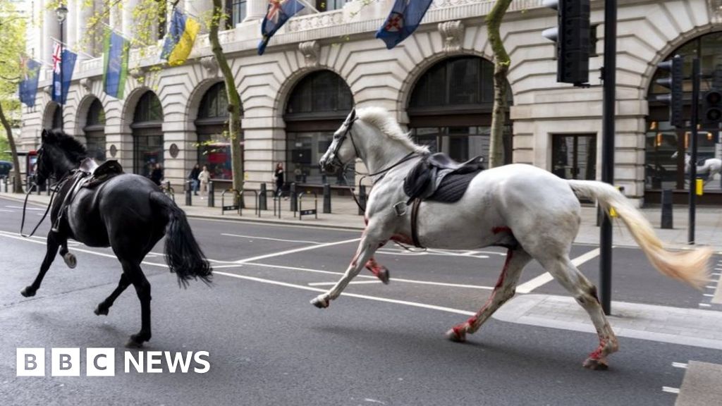 Photo showing smashed glass on a tour bus near the scene of the collision with a horse in London