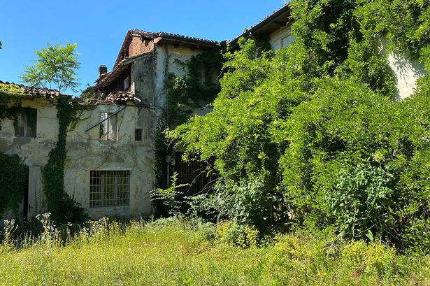 Photographer finds fully stocked wine cellar, art and antiques in 19th century abandoned palace