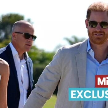 Prince Harry and Meghan Markle 'basking in celebrity profile' as they beam beside one another