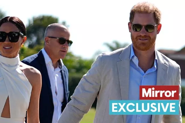 Prince Harry and Meghan Markle 'basking in celebrity profile' as they beam beside one another