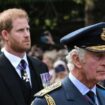 Prince Harry could reconcile with Charles but has 'big job' to do with other key royal