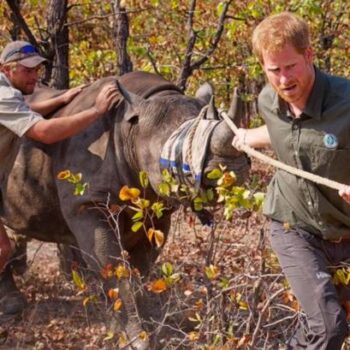 Prince Harry faces pressure as African charity hit by chilling fresh torture claims