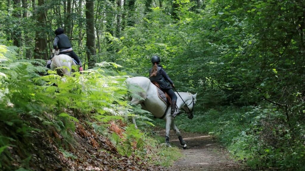 Randonnée : et si vous faisiez cet été le tour de l’Ile-de-France… à cheval ?