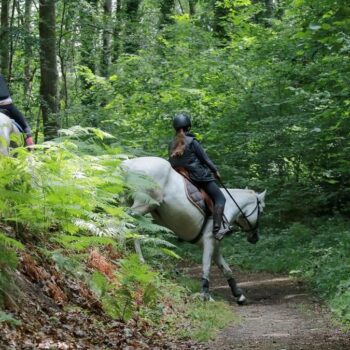 Randonnée : et si vous faisiez cet été le tour de l’Ile-de-France… à cheval ?