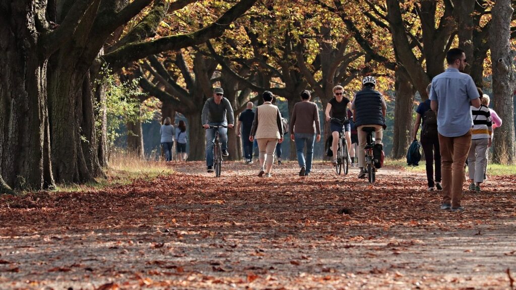 Se promener dans un parc renforce le système immunitaire et la santé mentale