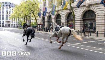 Two horses run through the street near Aldwych