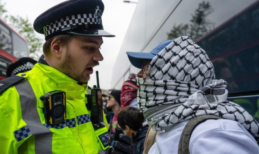 Ruanda-Gesetz: Mehrere Festnahmen in London bei Protesten gegen Abschiebungen