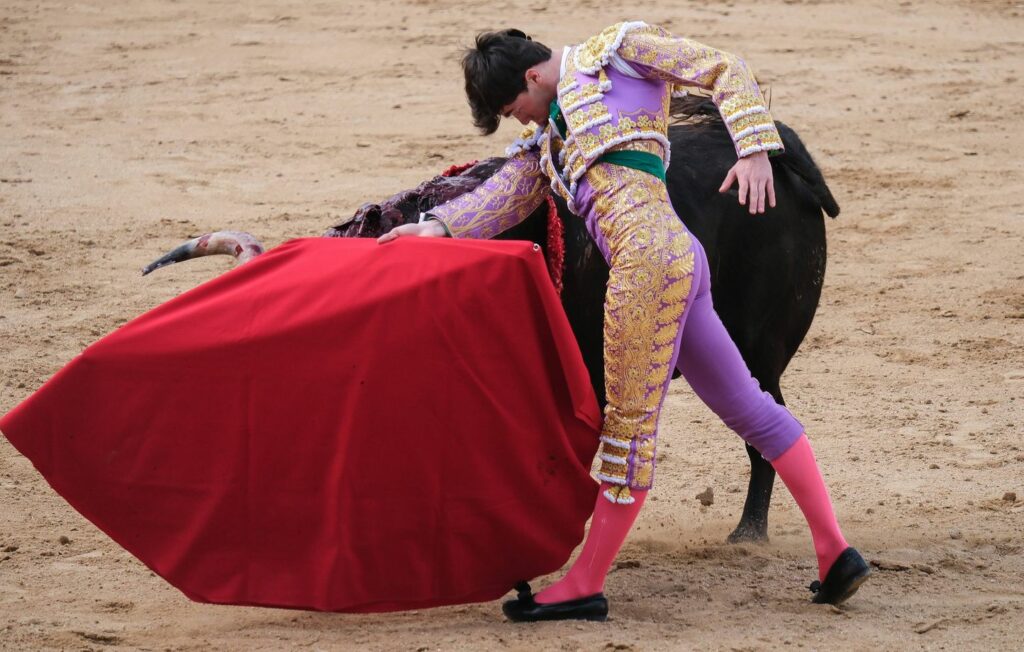 L’Espagne s’enflamme après la suppression d’un prix de tauromachie