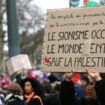 Un manifestant qui soutient la Palestine le 3 février 2024 à Paris