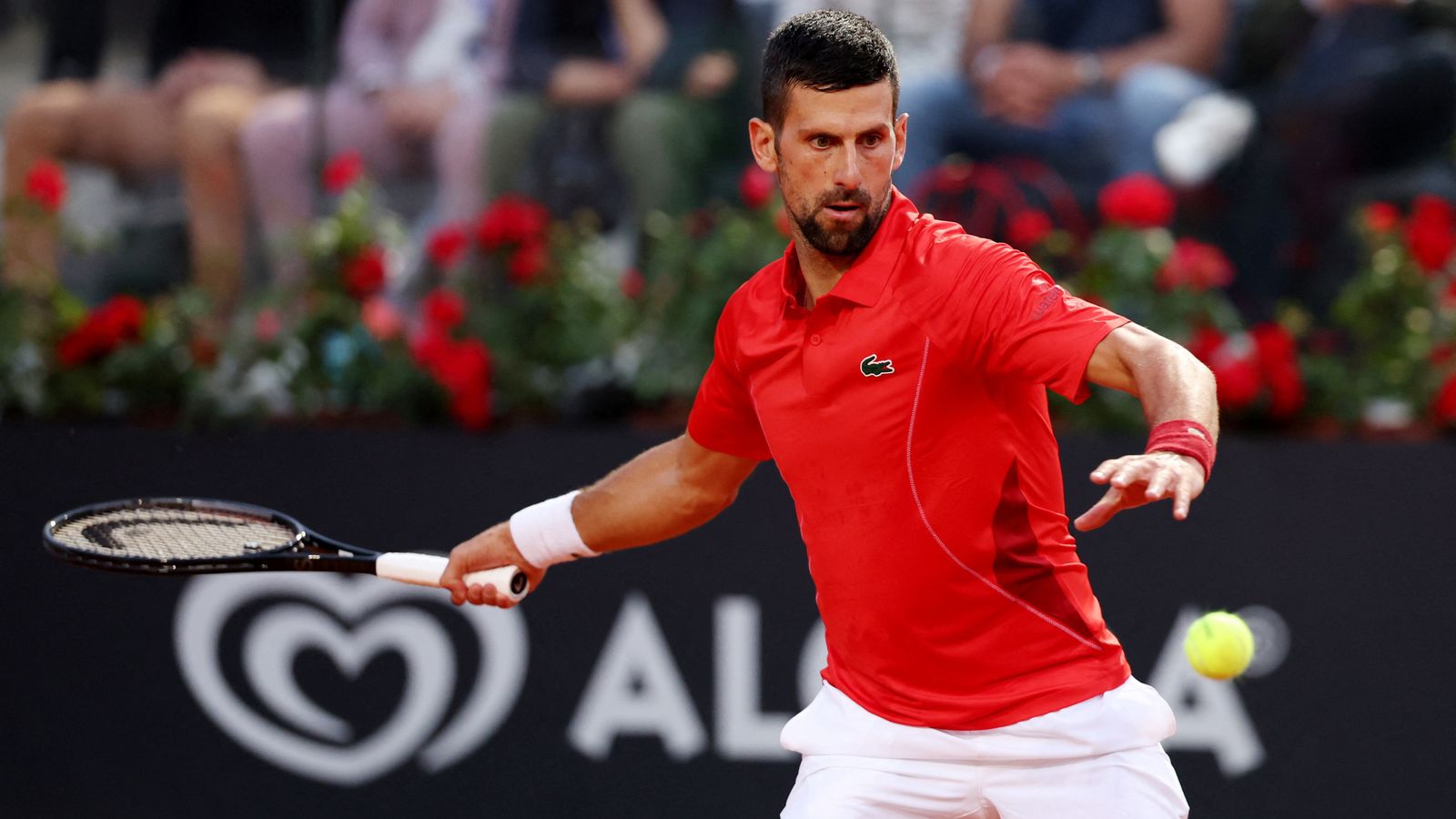 Novak Djokovic struck in head by water bottle while signing autographs