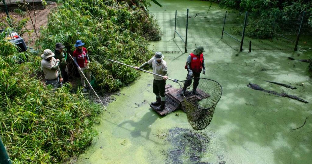 Le Costa Rica ferme ses zoos publics