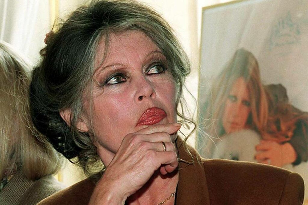 Brigitte Bardot en 1996 : « Je ne donne pas tellement de coups parce qu’en général les hommes ont le dessus »