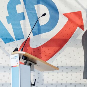 Alternative für Deutschland: Maximilian Krah kandidiert nicht mehr für den AfD-Vorstand