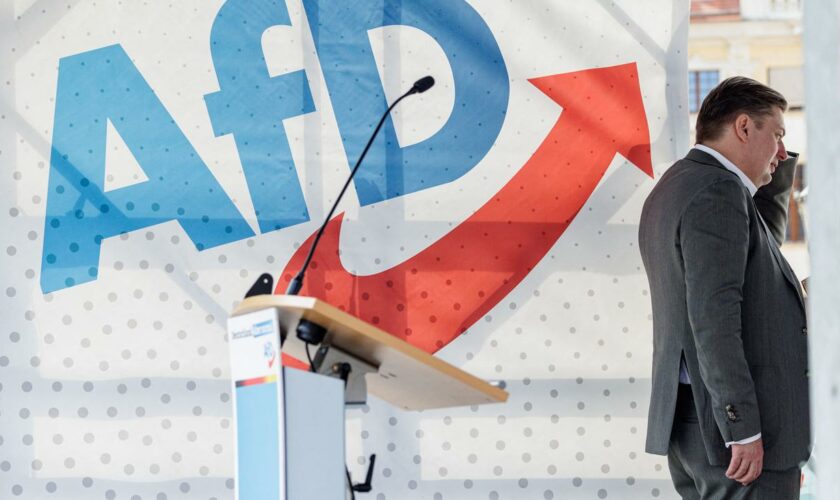 Alternative für Deutschland: Maximilian Krah kandidiert nicht mehr für den AfD-Vorstand